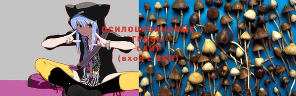 гашишное масло Балабаново