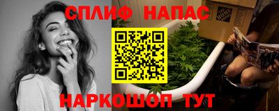 сатива Камышлов