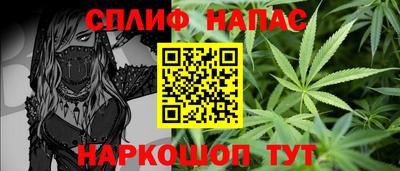 Альфа ПВП Кандалакша