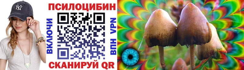 наркошоп  Нерюнгри  Псилоцибиновые грибы Magic Shrooms 