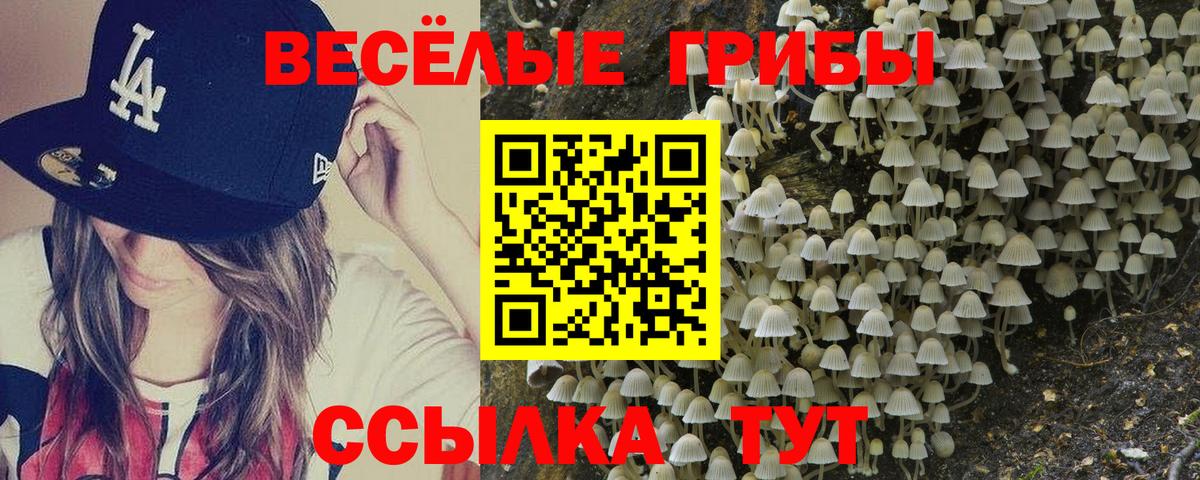 Галлюциногенные грибы Psilocybe  Галлюциногенные грибы MAGIC MUSHROOMS  Нерюнгри  Вход с VPN 